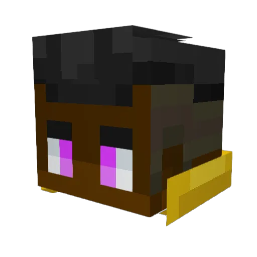 InBoM_ Minecraft avatar head, 3D render