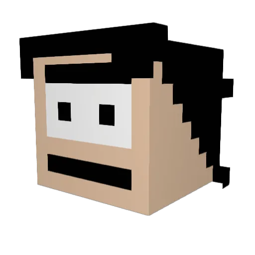InBurritoWeTrust Minecraft avatar head, 3D render