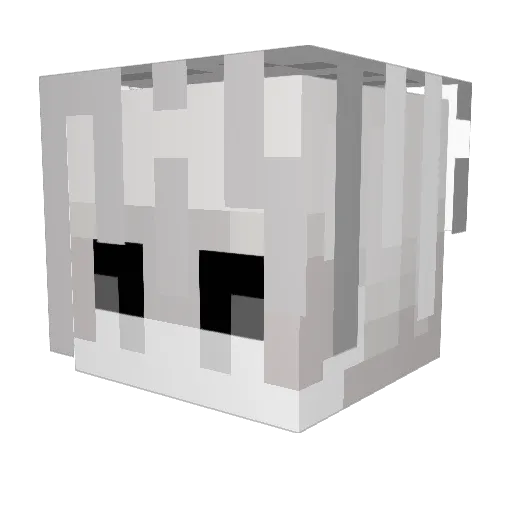 InDeXx18 Minecraft avatar head, 3D render