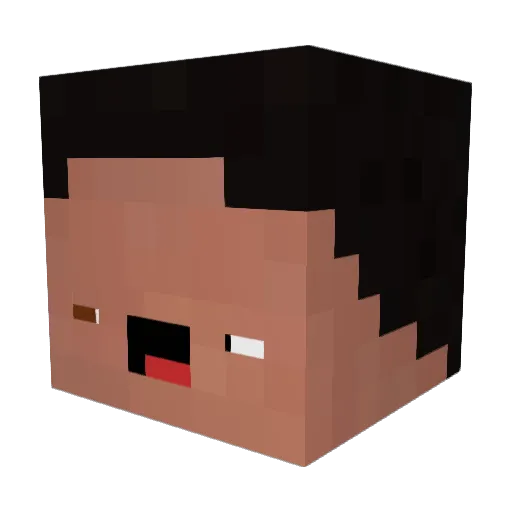 InDieHoseGekackt Minecraft avatar head, 3D render