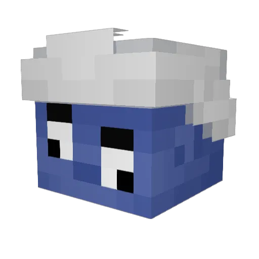InFeinbergVidBtw Minecraft avatar head, 3D render