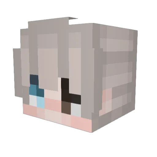 InFlint Minecraft avatar head, 3D render