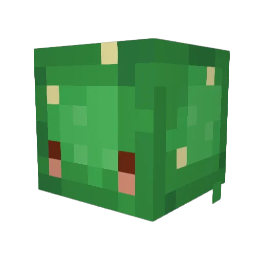 InOrOut Minecraft avatar head, 3D render