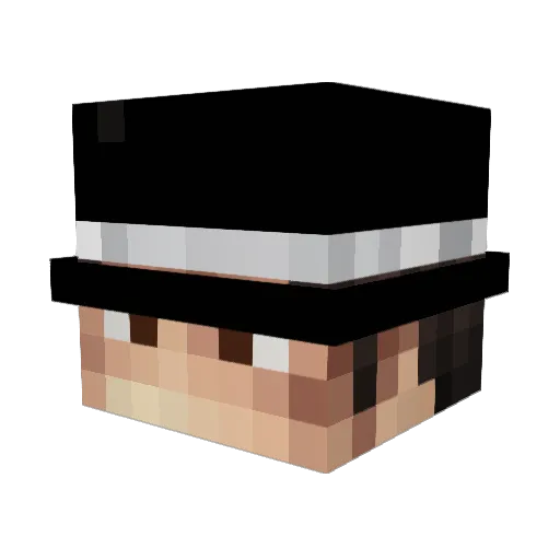 InPhase_ Minecraft avatar head, 3D render