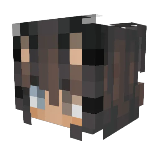 InScar Minecraft avatar head, 3D render