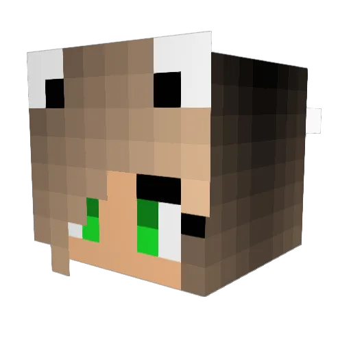 InSmiley Minecraft avatar head, 3D render