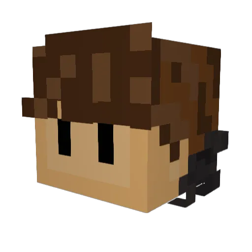 InTheBlacklite Minecraft avatar head, 3D render