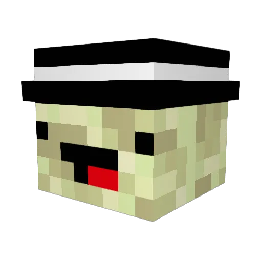 InTheEndstone Minecraft avatar head, 3D render