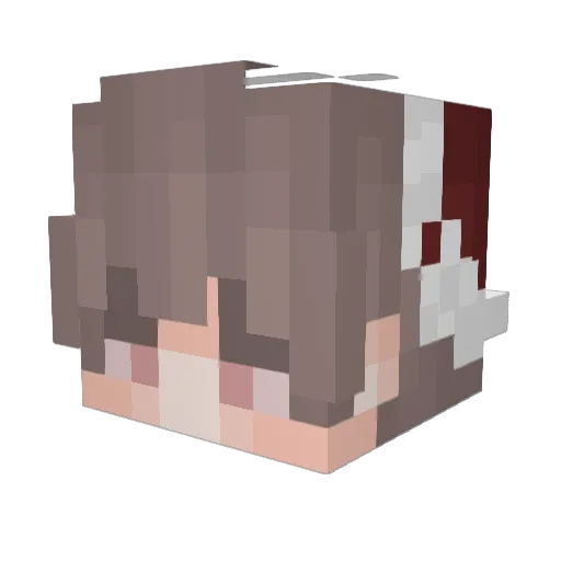 In_DarknesS Minecraft avatar head, 3D render