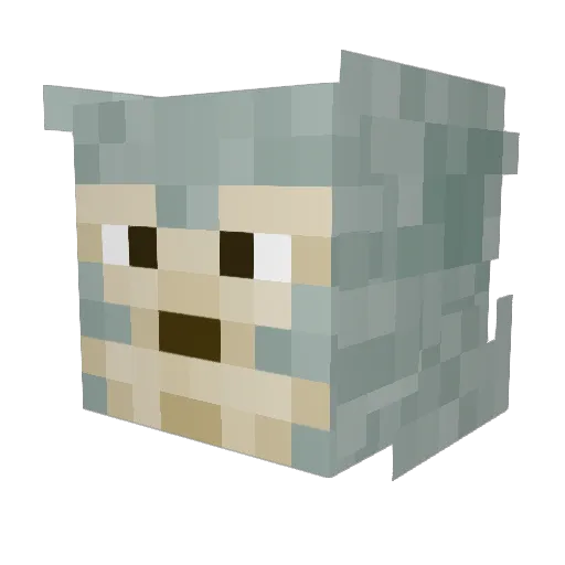 InactiveRacco0n Minecraft avatar head, 3D render