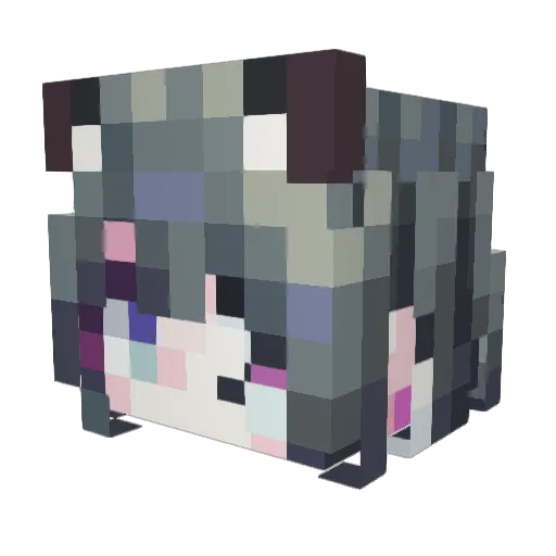 Inaris_ Minecraft avatar head, 3D render