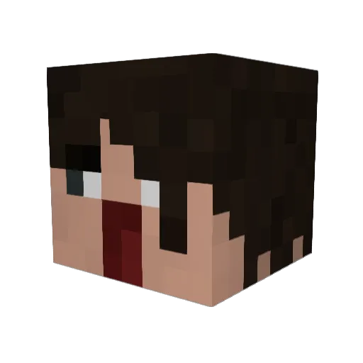 Inator1409 Minecraft avatar head, 3D render