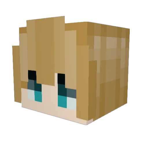 Incali_ Minecraft avatar head, 3D render