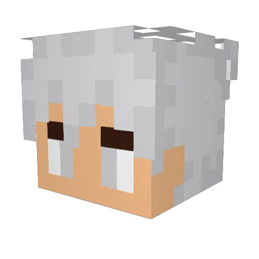 IncognitoWhale Minecraft avatar head, 3D render