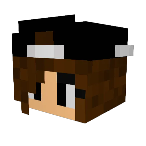 Inconnue Minecraft avatar head, 3D render