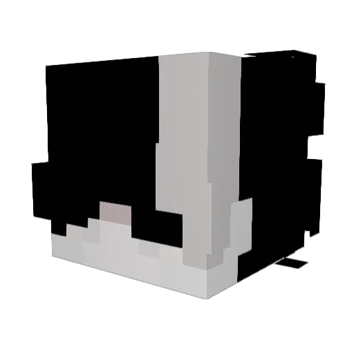 Ind0ctrinate Minecraft avatar head, 3D render