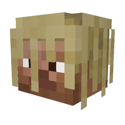 Ind_Myung Minecraft avatar head, 3D render