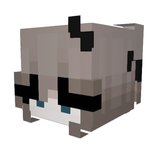 Indecisaaa Minecraft avatar head, 3D render