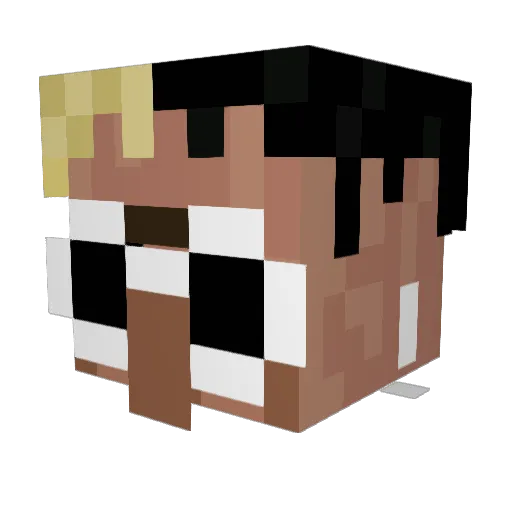 Indeexx Minecraft avatar head, 3D render