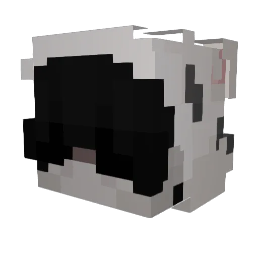 Indenial8 Minecraft avatar head, 3D render