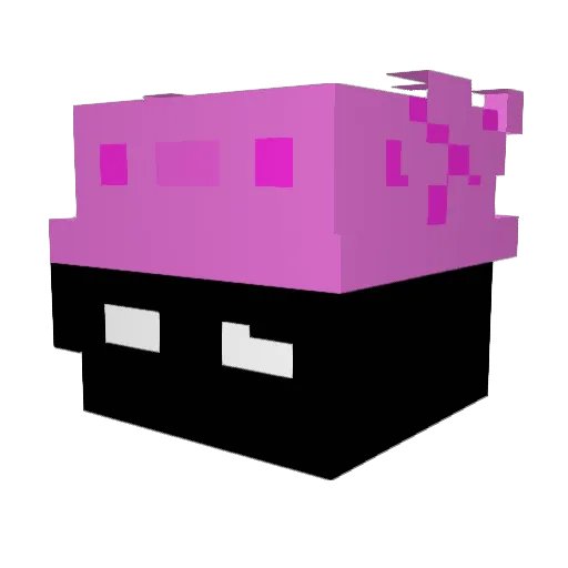 InderKinderBen Minecraft avatar head, 3D render