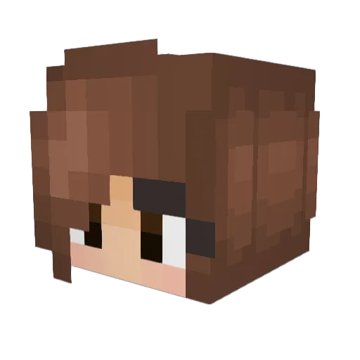 Indescriptible Minecraft avatar head, 3D render