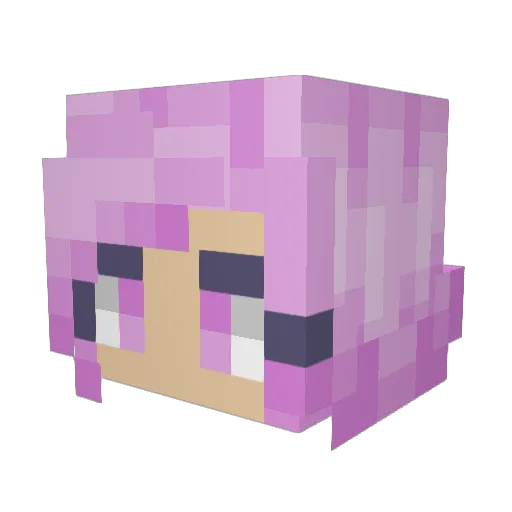 Indewi Minecraft avatar head, 3D render