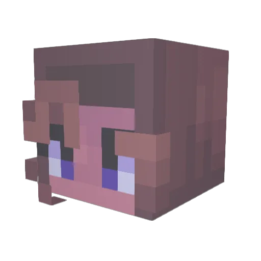 IndiGo_Away Minecraft avatar head, 3D render