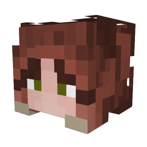 Indi_Individual Minecraft avatar head, 3D render
