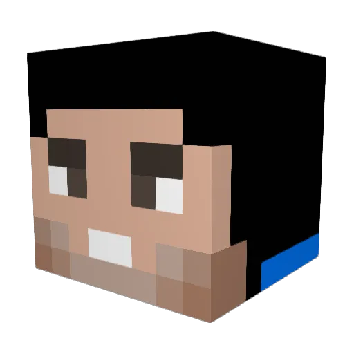 IndiaCricketTeam Minecraft avatar head, 3D render