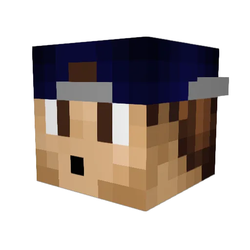 Indiamon23 Minecraft avatar head, 3D render