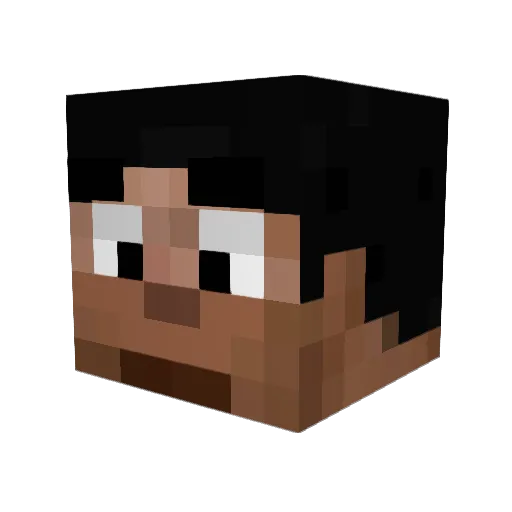 IndianBoy69420 Minecraft avatar head, 3D render