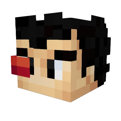 IndianRoders Minecraft avatar head, 3D render