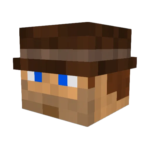 IndianaGone Minecraft avatar head, 3D render