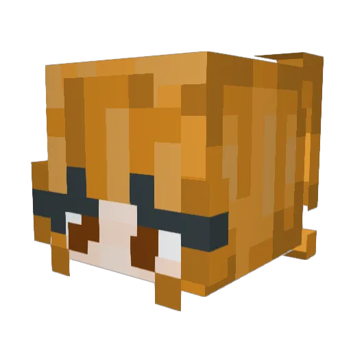 Indiana_Grace Minecraft avatar head, 3D render