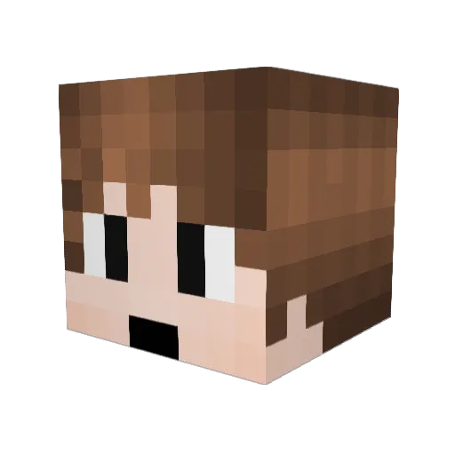 Indianboy123321 Minecraft avatar head, 3D render