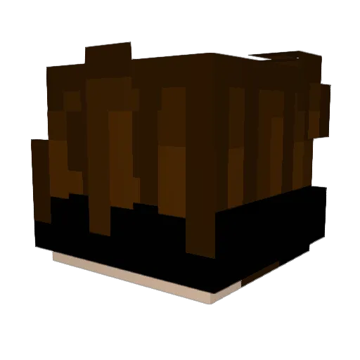 Indieeee_ Minecraft avatar head, 3D render