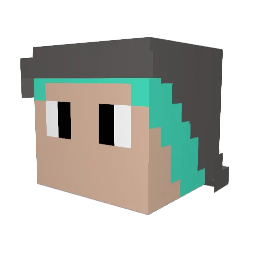 Indiekid1011 Minecraft avatar head, 3D render