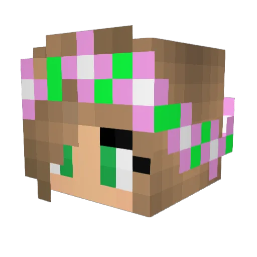 IndigoTurtle24 Minecraft avatar head, 3D render