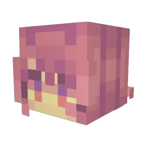 Indigo_Nichole Minecraft avatar head, 3D render