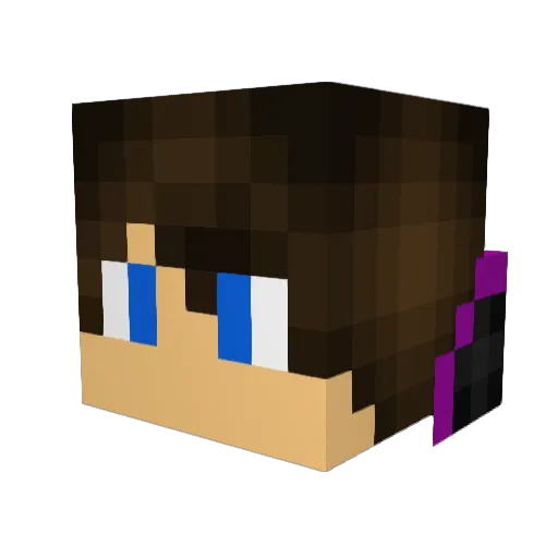 Indigohe Minecraft avatar head, 3D render