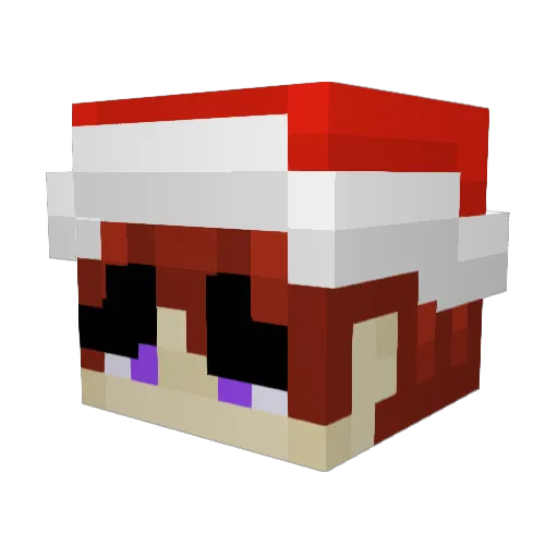 Indigoma Minecraft avatar head, 3D render
