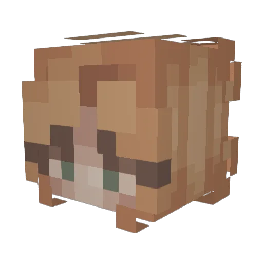 Indigorook Minecraft avatar head, 3D render