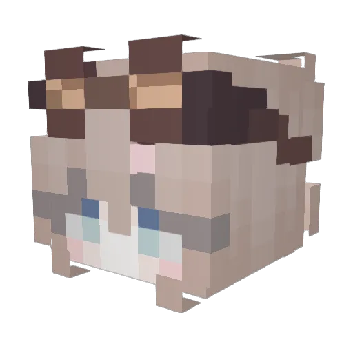 Indiogo Minecraft avatar head, 3D render