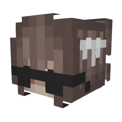 IndoorMoon Minecraft avatar head, 3D render