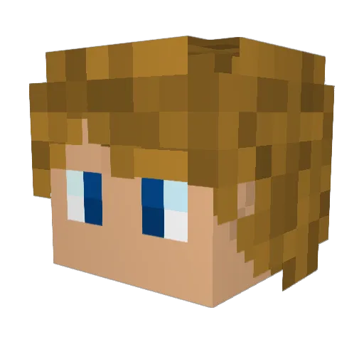 Indrin Minecraft avatar head, 3D render