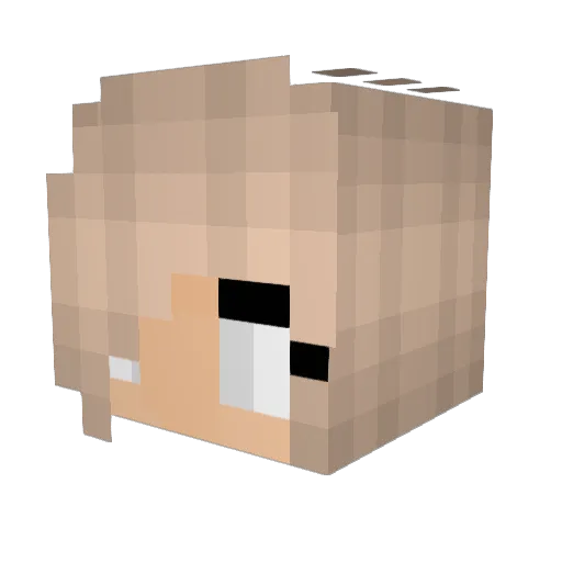 Indyg27 Minecraft avatar head, 3D render