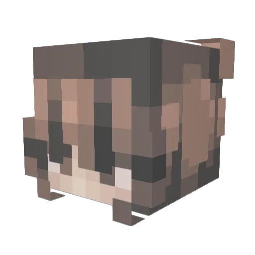 Ines123456 Minecraft avatar head, 3D render