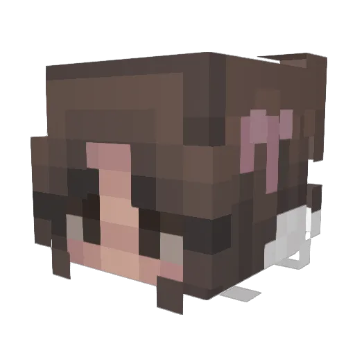 Ines_a_trueGamer Minecraft avatar head, 3D render