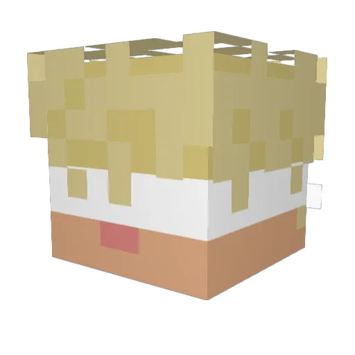 InfErn03Dra90n3 Minecraft avatar head, 3D render